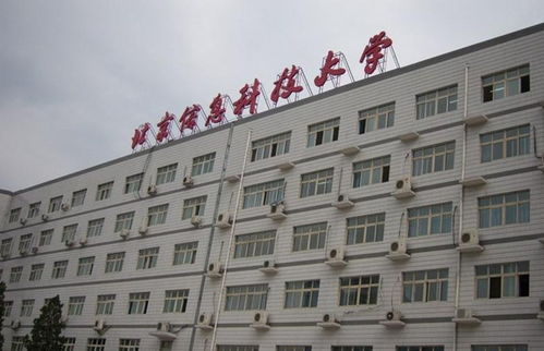 青春奉獻，科技賦能——記北京信息科技大學青年志愿者協(xié)會的信息技術咨詢志愿服務